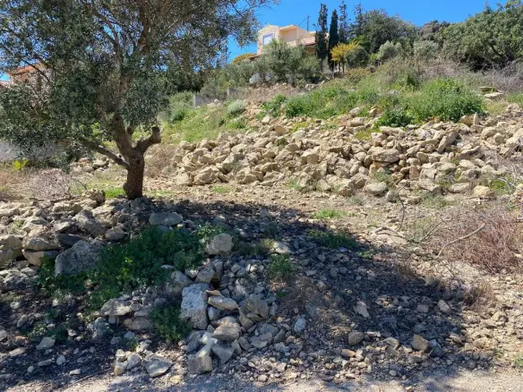 Land In Kolimvari, Greece