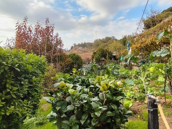 House Of 4+1 Bedrooms With Douro River View In Resende, Viseu