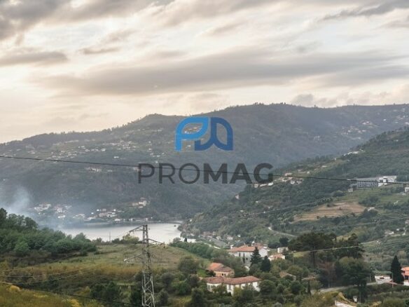 House Of 4+1 Bedrooms With Douro River View In Resende, Viseu