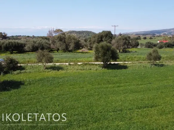 Plot Of X In Soularoi, Greece