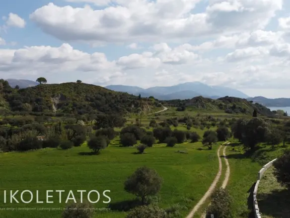 Plot Of X In Soularoi, Greece