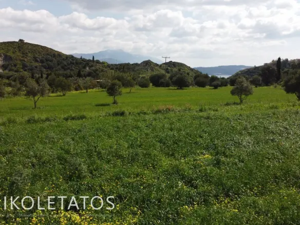 Plot Of X In Soularoi, Greece