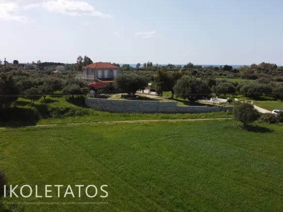 Plot Of X In Soularoi, Greece