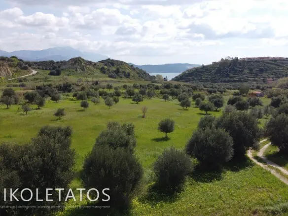 Plot Of X In Soularoi, Greece