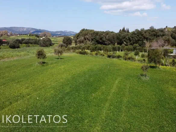 Plot Of X In Soularoi, Greece