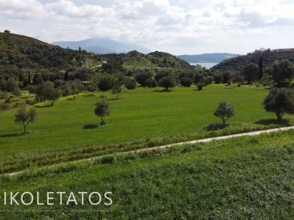 Plot Of X In Soularoi, Greece