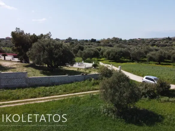 Plot Of X In Soularoi, Greece