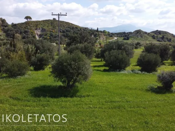 Plot Of X In Soularoi, Greece