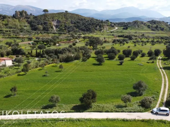 Plot Of X In Soularoi, Greece