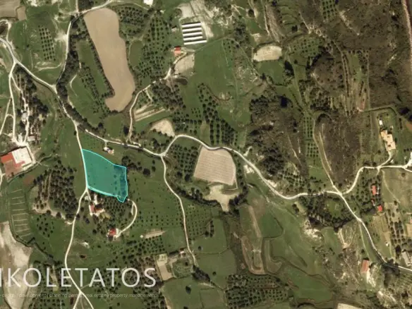 Plot Of X In Soularoi, Greece