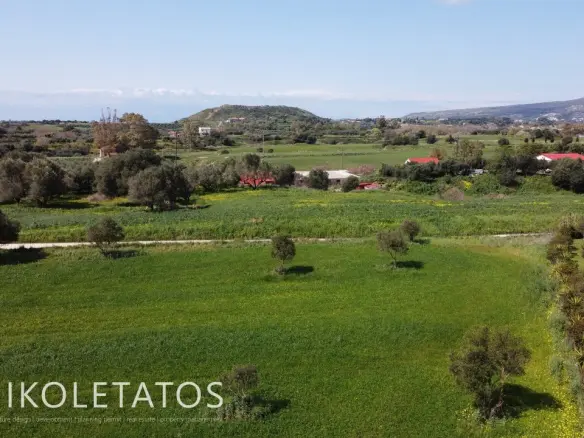 Plot Of X In Soularoi, Greece