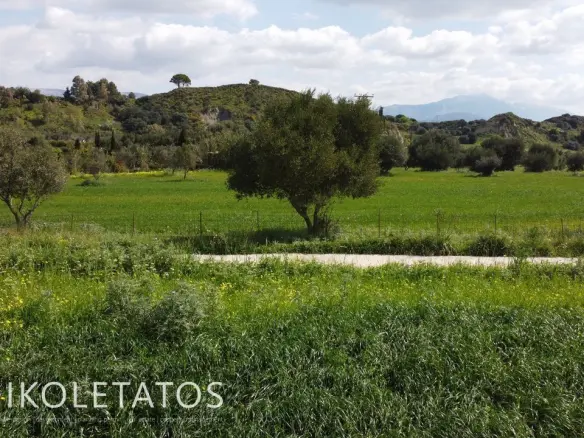 Plot Of X In Soularoi, Greece