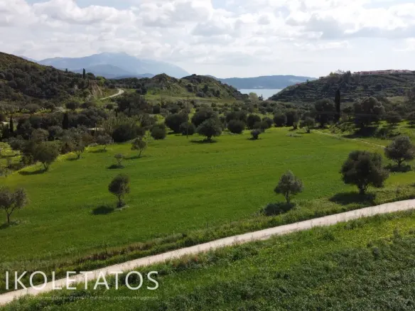 Plot Of X In Soularoi, Greece