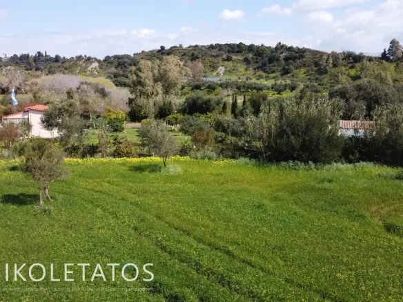 Plot Of X In Soularoi, Greece
