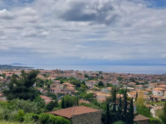 Land In Sithonia, Greece