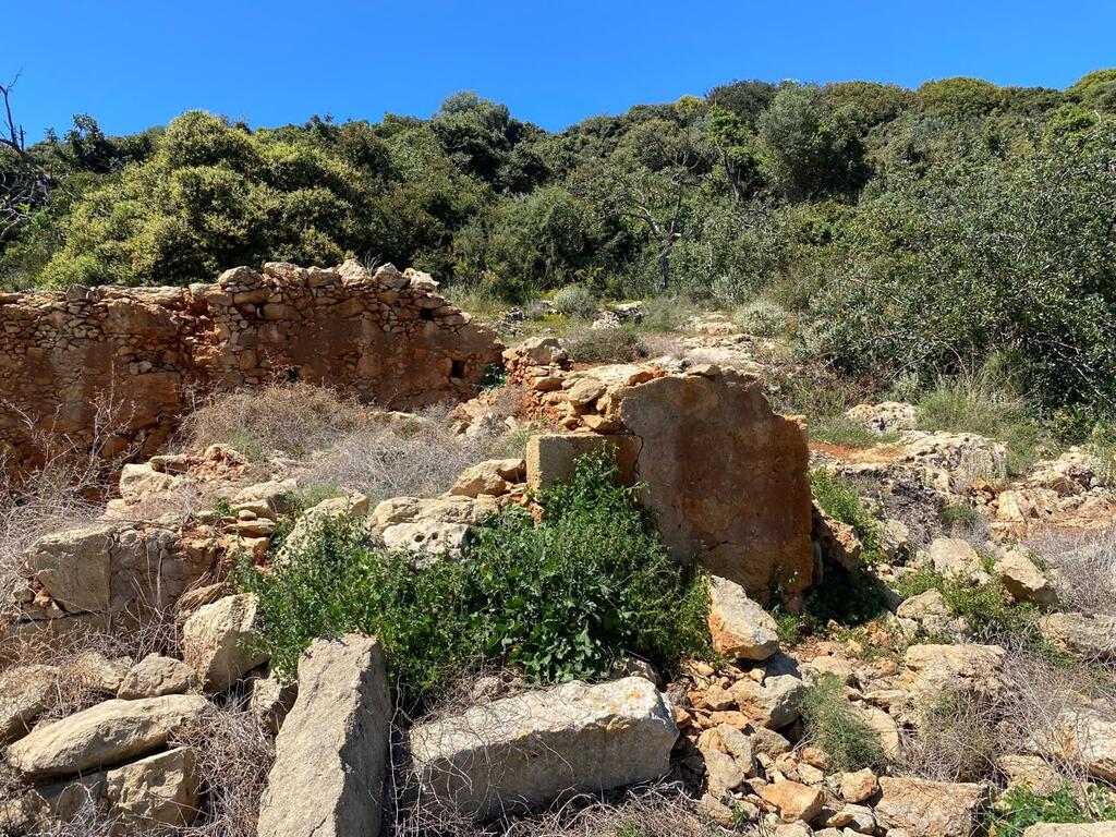 Land Of 2035 M² In Crete