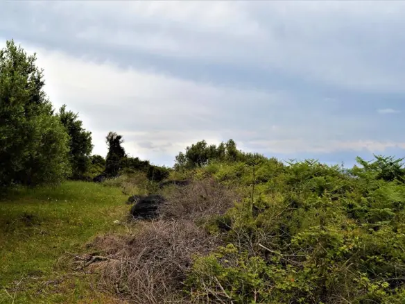 Land Of 6200 M² In Corfu