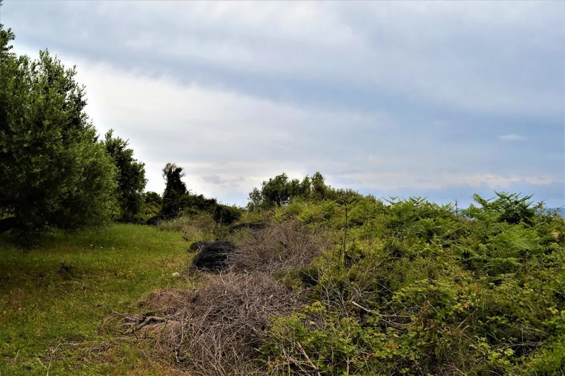 Land Of 6200 M² In Corfu