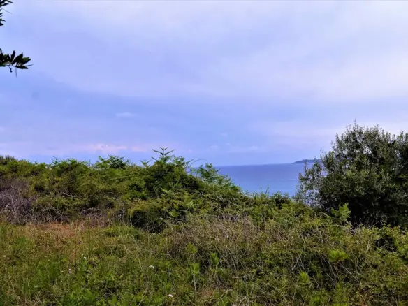 Land Of 6200 M² In Corfu