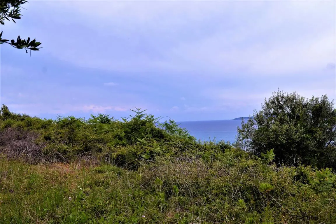 Land Of 6200 M² In Corfu