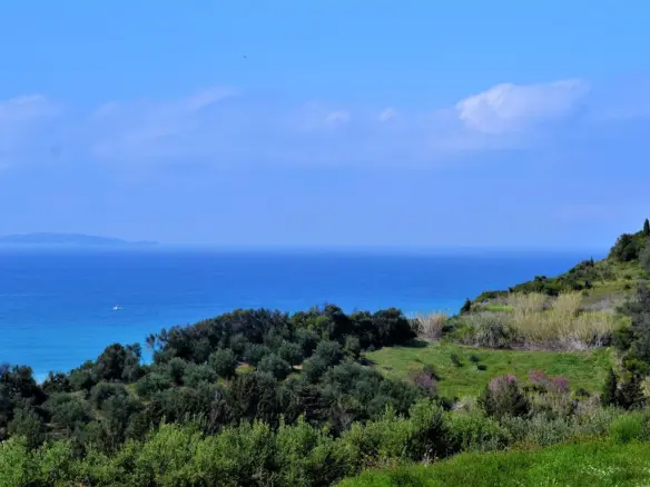 Land Of 6200 M² In Corfu