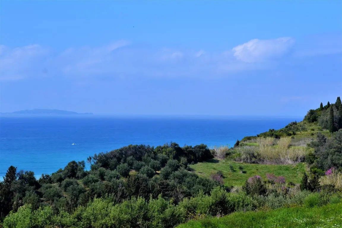 Land Of 6200 M² In Corfu