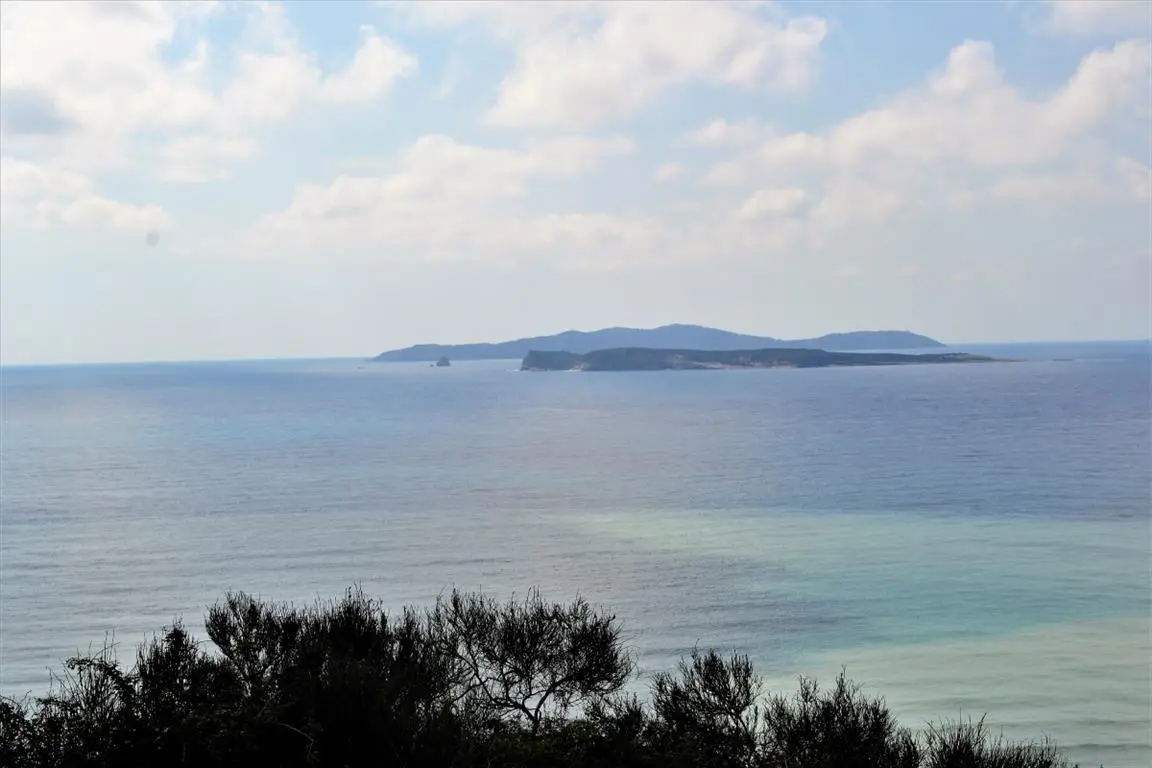 Land Of 6200 M² In Corfu