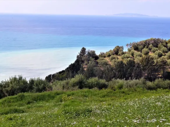 Land Of 6200 M² In Corfu