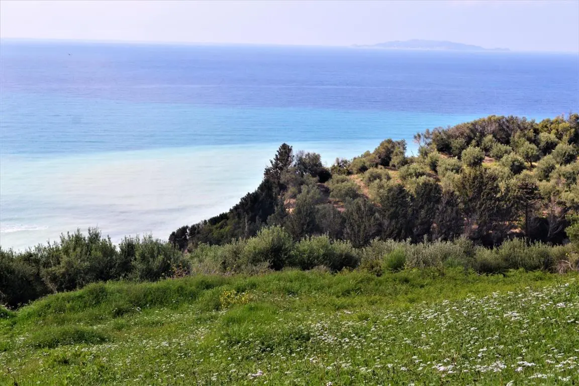 Land Of 6200 M² In Corfu