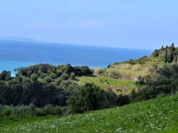 Land Of 6200 M² In Corfu