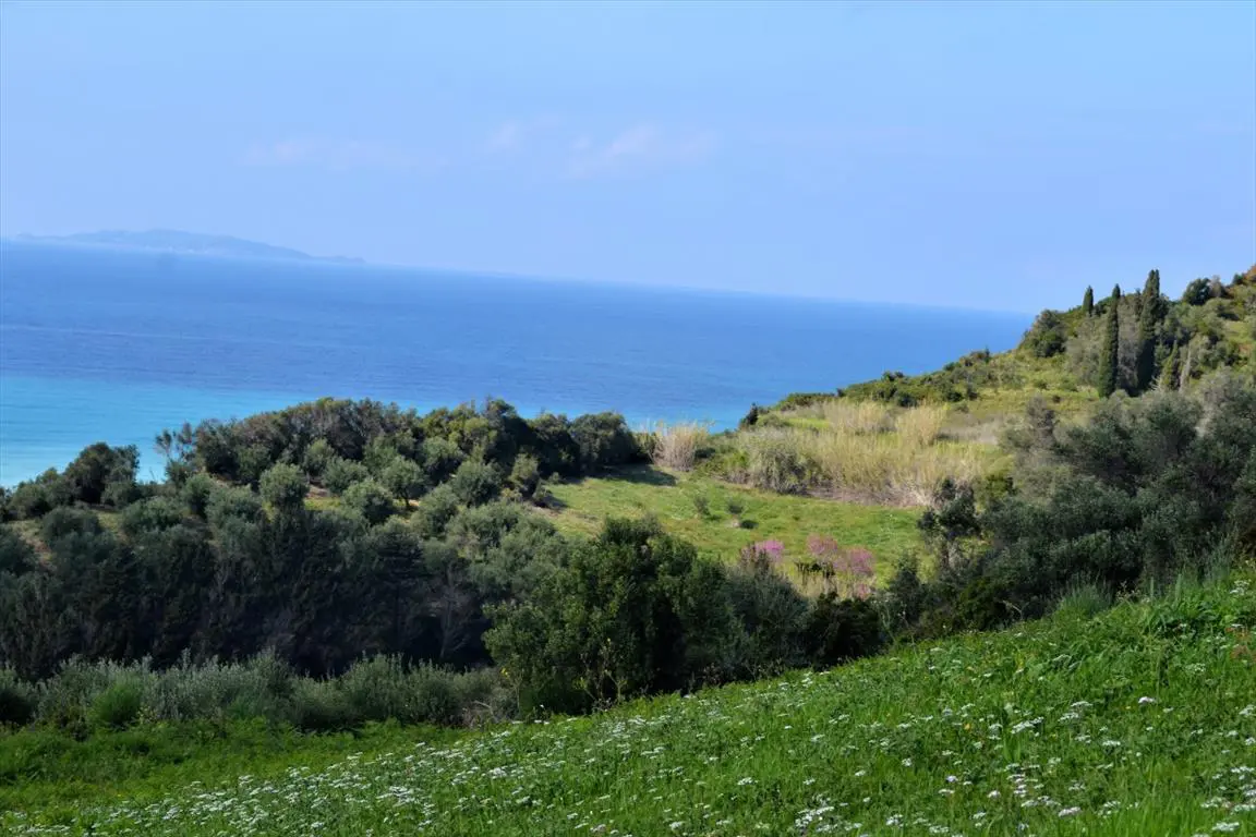 Land Of 6200 M² In Corfu