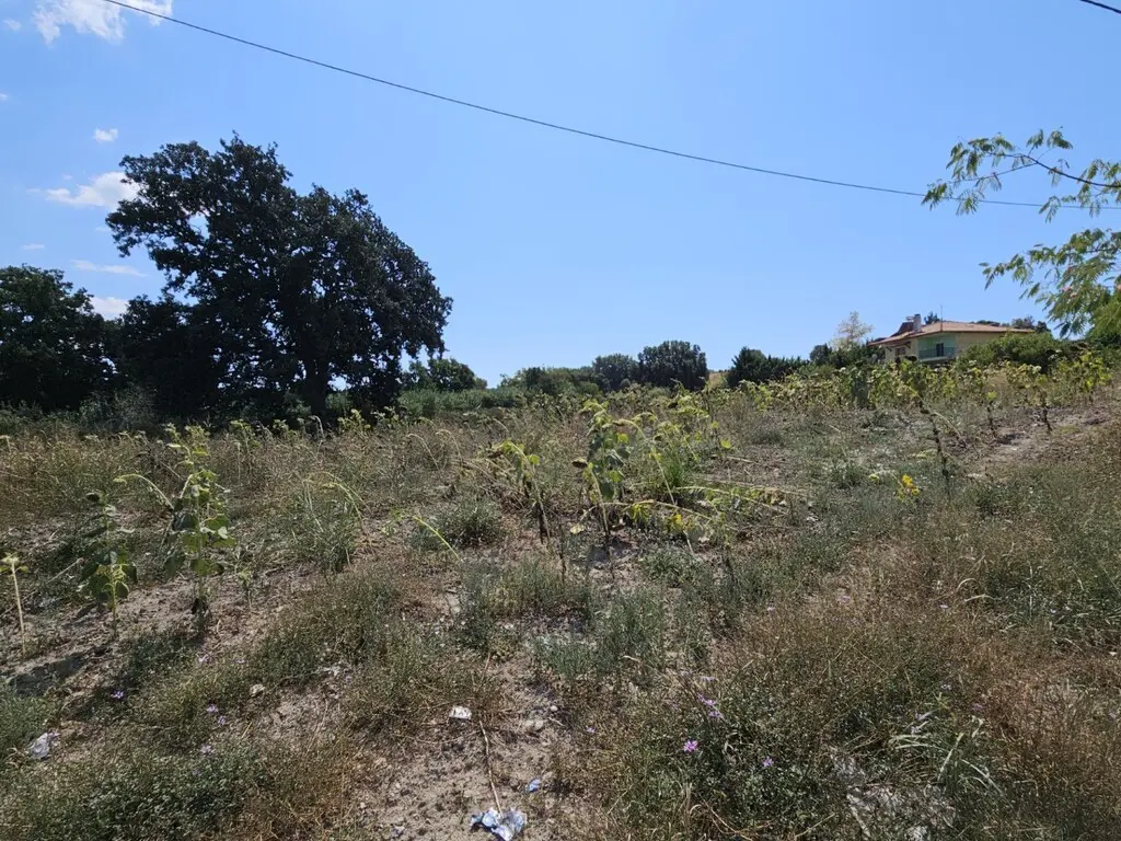 Land In Kassandra, Greece