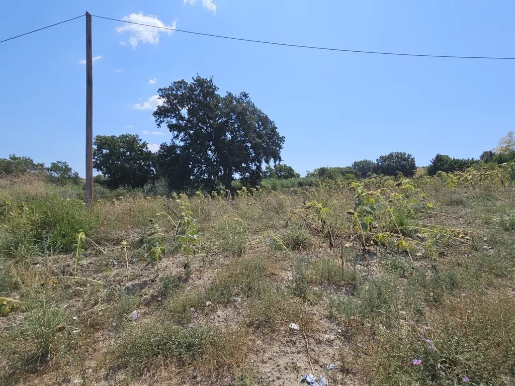 Land In Kassandra, Greece