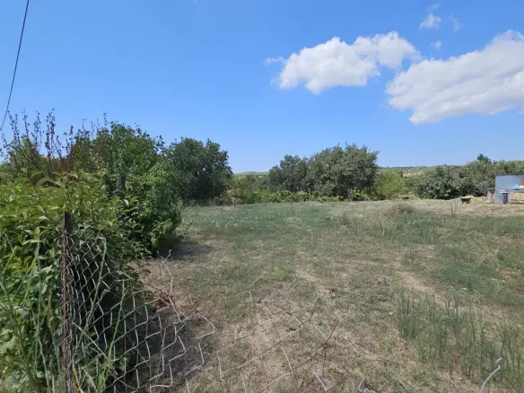 Land In Kassandra, Greece