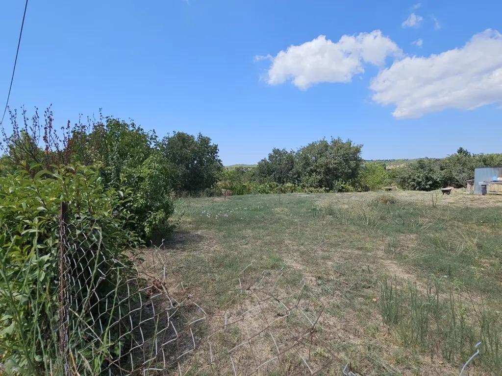 Land In Kassandra, Greece