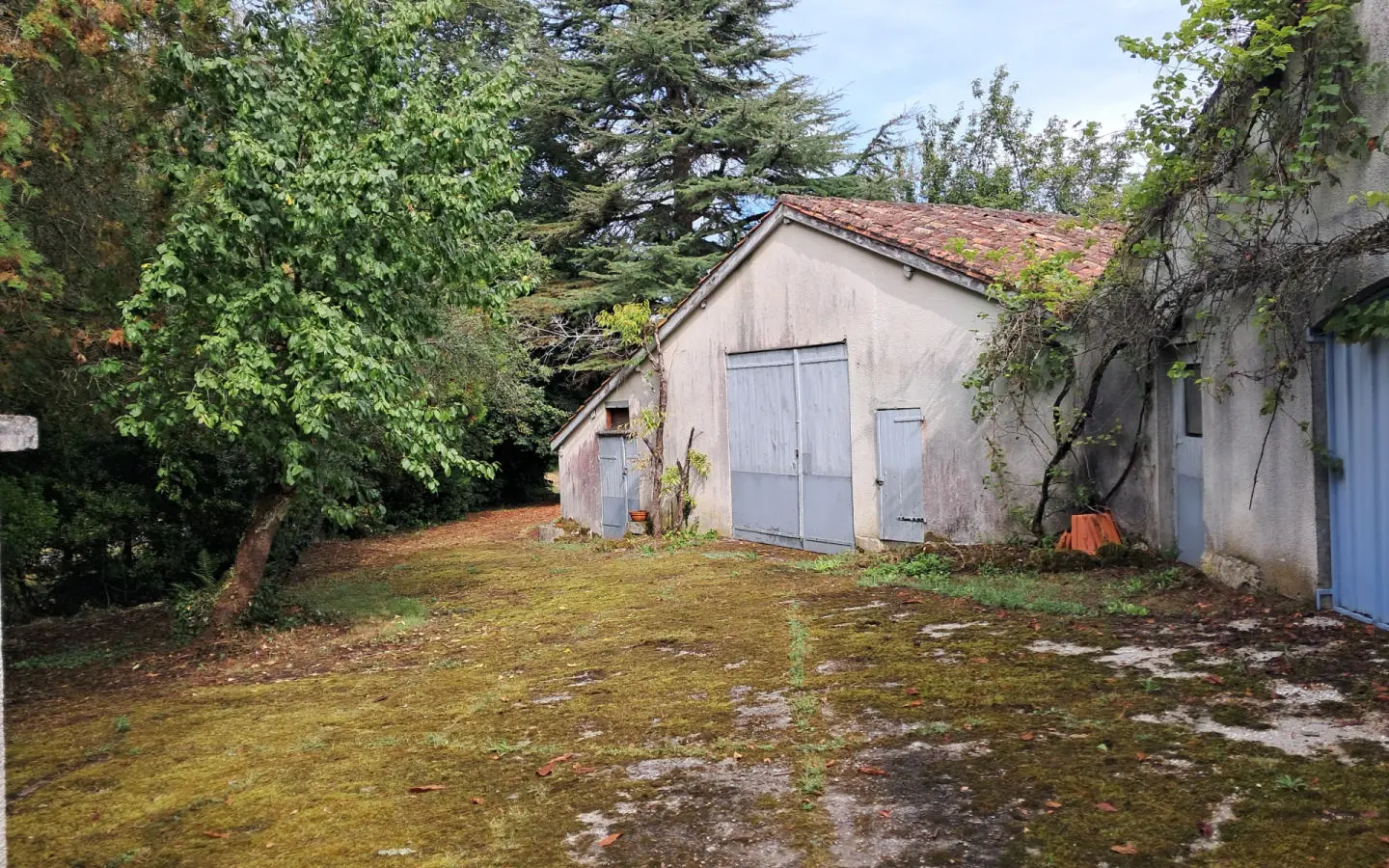 5-bedroom House In Saint-laurent-des-combes, France (195 M²)