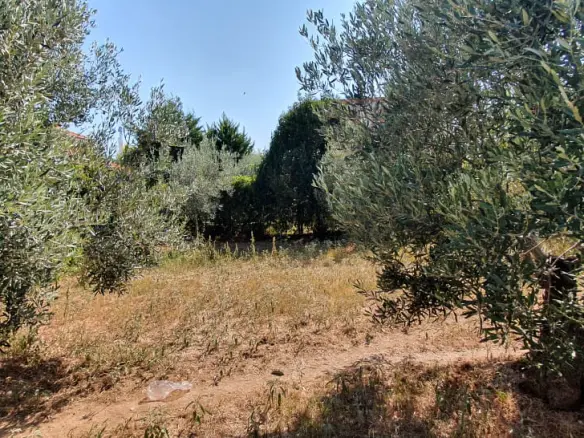 Detached House In Nea Propontida, Greece (320 M²)