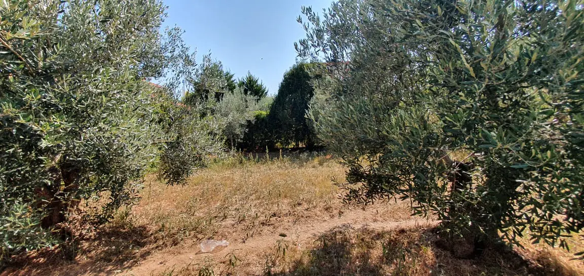 Detached House Of 320 M² In Chalkidiki