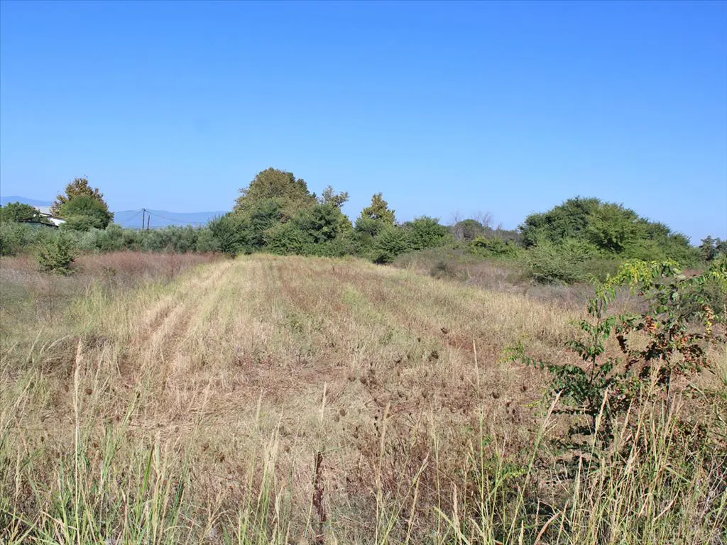 Land Of 1904 M² On The Olympic Coast