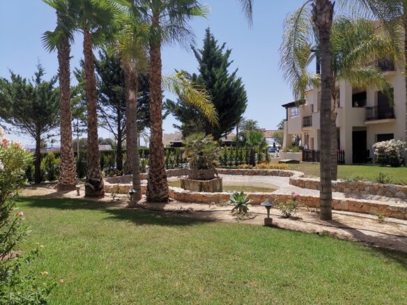 Ideal Vivienda