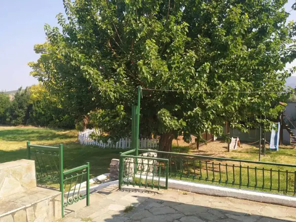 9-bedroom Villa In Dafnouses, Greece (525 M²)