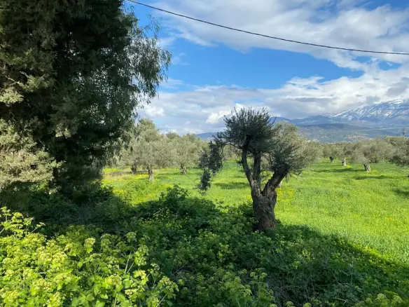Land In Timpaki, Greece