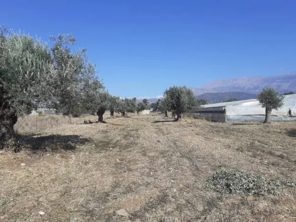 Land In Timpaki, Greece