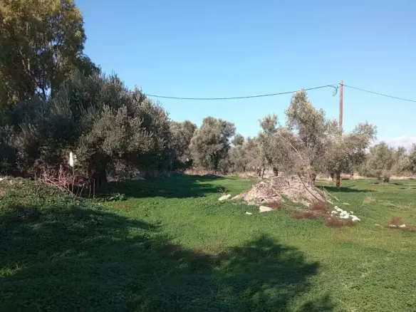 Land In Timpaki, Greece