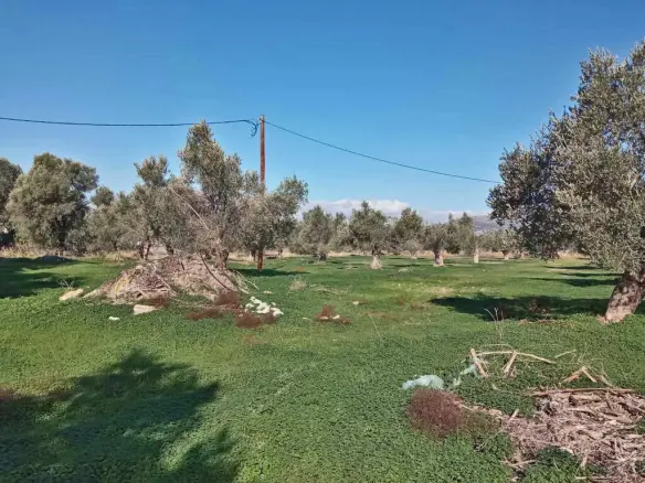 Land In Timpaki, Greece