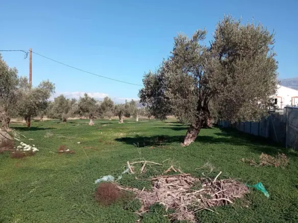 Land In Timpaki, Greece