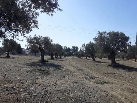 Land In Timpaki, Greece