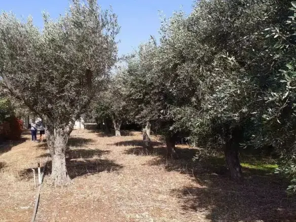 Land In Vari – Varkiza, Greece