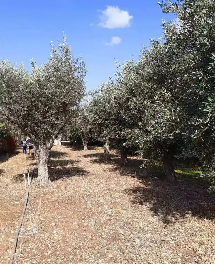 Land In Vari – Varkiza, Greece