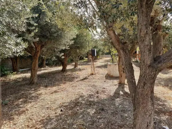 Land In Vari – Varkiza, Greece